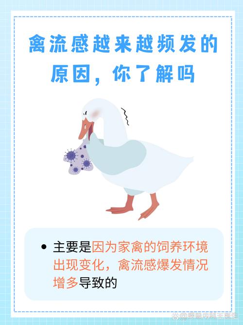 北京禽流感最新消息及数据